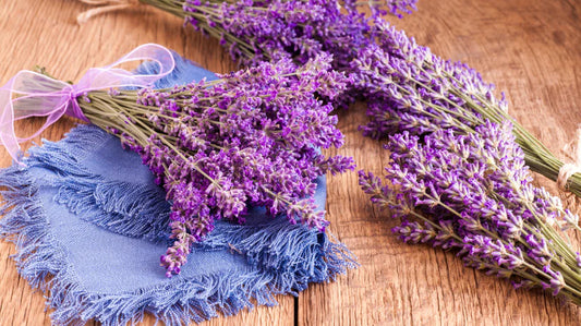 AROMA ZA SAUNE I PARNA KUPATILA