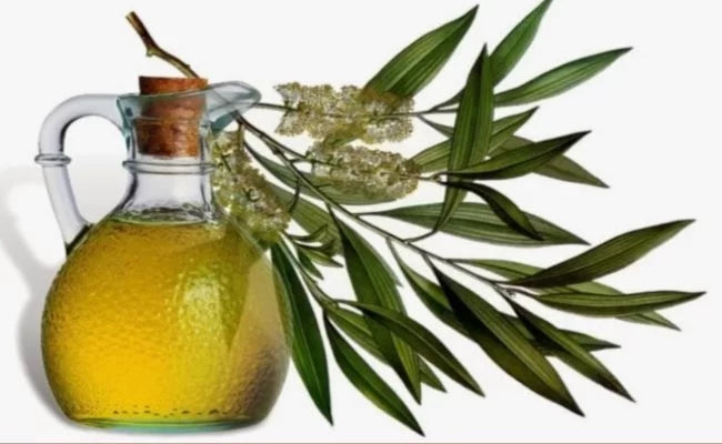 Aroma za saunu 1l - Eukaliptus