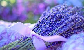 Aroma za saunu 1l- Lavanda